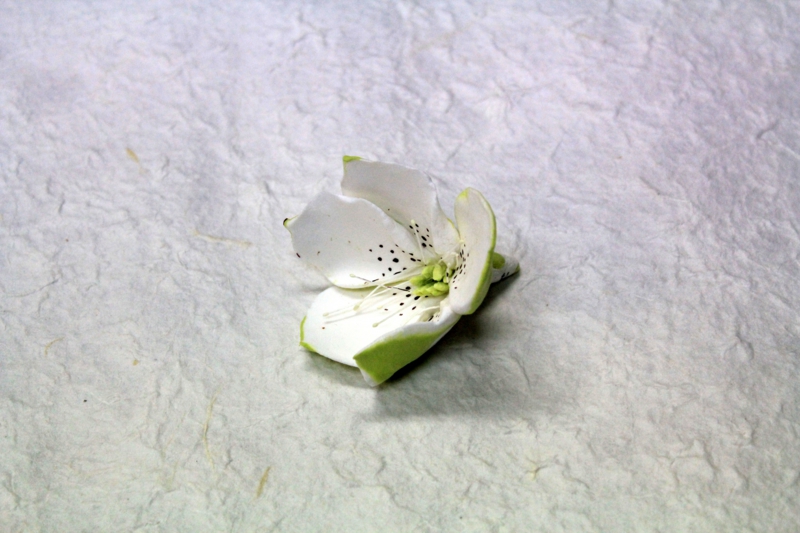 花 / パーツ