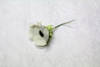花 / パーツ