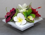15-花ー横.jpg